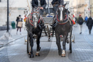 Daily Life In Krakow, Poland.
