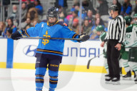 THE CANADIAN PRESS 2025-11-29