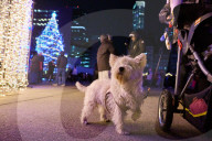 THE CANADIAN PRESS 2025-11-29