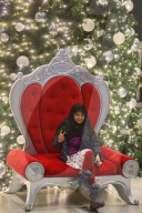 Christmas Tree In Toronto, Canada