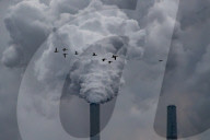 Pollution And Wildlife In Indiana 