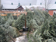 THE CANADIAN PRESS 2025-11-30