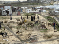 Difficult Humanitarian Conditions Near the Khan Yunis Landfill - Palestine