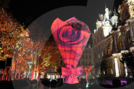 Lyon Festival of Lights - France