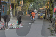 India-Environment- Plastic