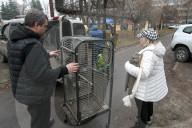 Consequences of Russian Ballistic Missile Strike on Dnipro - Ukraine