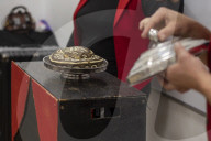 Using Animals At Celebrations