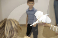 Using Animals At Celebrations