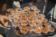 Firewood Jollof Festival 2.0 Holds In Lagos, Nigeria 