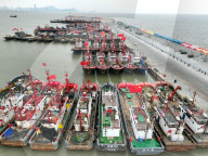 Cold Wave Blue Alert