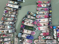 Cold Wave Blue Alert