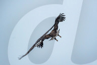 Wildlife In The Snow At The Oxbow Nature Conservancy