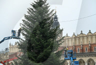 Daily Life In Krakow