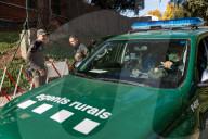 Spain Deploys Military Emergency Unit to Catalonia to Tackle African Swine Fever