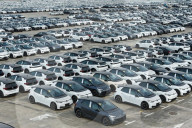 Volkswagen Pure EV Export