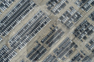 Volkswagen Pure EV Export