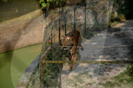 Daily Life In India. 