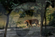 Daily Life In India. 