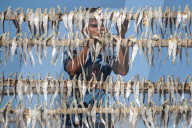 Bangladesh: Dried Fish Processing