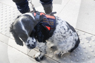 SNCF Illustration de la Police Ferroviaire a la Gare de Lyon