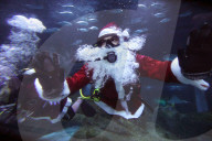 Santa Claus Holiday Swim At Rio De Janeiro Aquarium