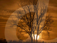 Sunset in Normandy - France