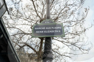 Christmas Trees For Sale At Flower Market - Paris