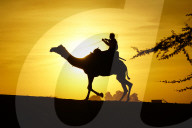 Tourists Enjoy a Camel Safari - India