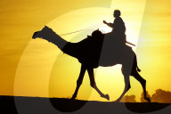 Tourists Enjoy a Camel Safari - India