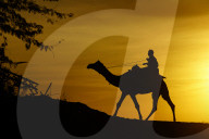 Tourists Enjoy a Camel Safari - India