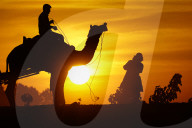 Tourists Enjoy a Camel Safari - India