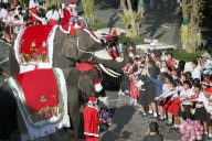 Elephants in Christmas-Themed Costumes - Thailand