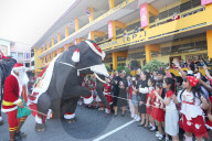 Elephants in Christmas-Themed Costumes - Thailand