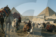 Illustration - Egypt