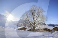 Illustration - Aravis Range