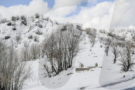 Snowfall In Kurdistan Region - Iraq
