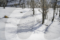 Snowfall In Kurdistan Region - Iraq