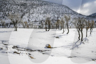 Snowfall In Kurdistan Region - Iraq