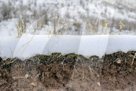 Snowfall In Kurdistan Region - Iraq