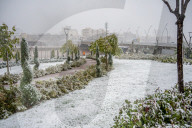 Snowfall In Kurdistan Region - Iraq