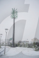 Snowfall In Kurdistan Region - Iraq