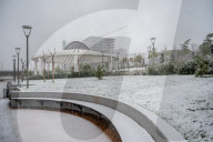 Snowfall In Kurdistan Region - Iraq