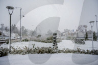 Snowfall In Kurdistan Region - Iraq