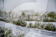 Snowfall In Kurdistan Region - Iraq