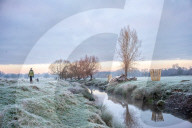 Icy weather for the New Year. 