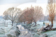 Icy weather for the New Year. 