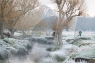 Icy weather for the New Year. 