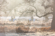 Icy weather for the New Year. 