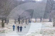 Icy weather for the New Year. 