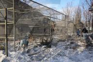 Russian Army Strikes Zoo with Guided Bomb - Kharkiv Region